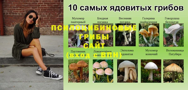 меф VHQ Инсар